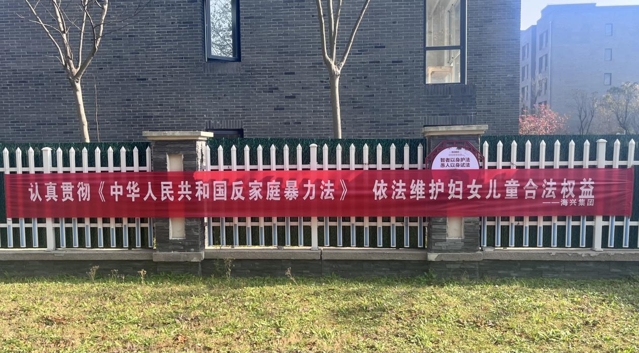 法務(wù)風(fēng)控部開展國際反家庭暴力日普法宣傳活動.jpg